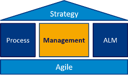 Agile Process Improvement diagram - Management