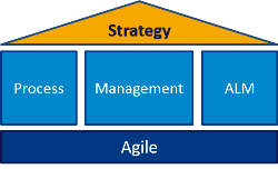 Agile Process Improvement diagram - Strategy